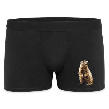 Marmots Groundhog - Men's Boxer Shorts - black - Front