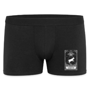 Lustiges Meme-Tarotkarten-Loser-Po-Witz - Männer Boxer Shorts - Schwarz - Vorne