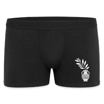 Antike Vase mit Blattzweigen - Männer Boxer Shorts - Schwarz - Vorne