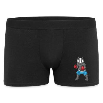 Badger Boxer Gants de boxe Boxe - Boxer Homme - noir - Devant