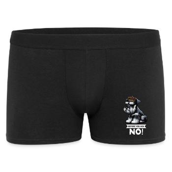 Before You Ask Schnauzer Riesenschnauzer - Men's Boxer Shorts - black - Front