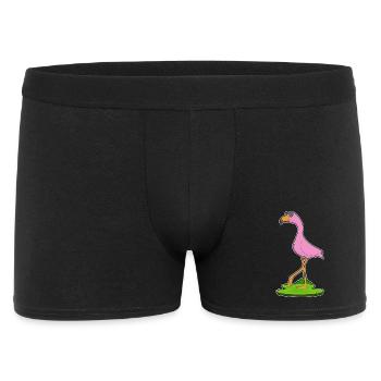 Lunettes de soleil Flamingo - Boxer Homme - noir - Devant