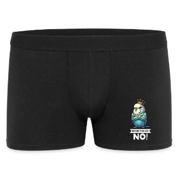 Avant que tu ne demandes à Perruche Welli Wellis - Boxer Homme - noir - Devant