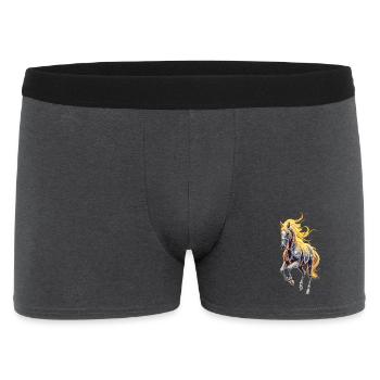 Étoile à la crinière dorée - Boxer Homme - charbon - Devant