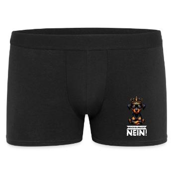 Before you ask Miniature Pinscher Pinscher Pinscher Fan - Men's Boxer Shorts - black - Front