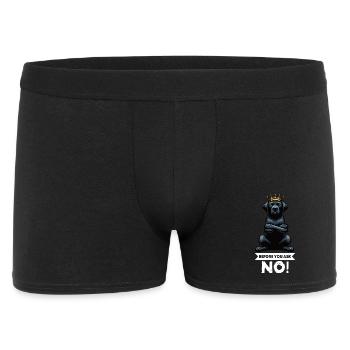 Before You Ask Labrador Labrador Labrador Owner Labrador - Men's Boxer Shorts - black - Front