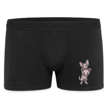 Chat Sphynx Mignon Posture Debout Portrait - Boxer Homme - noir - Devant