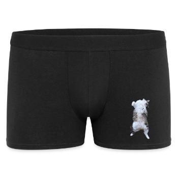 Pose du ventre de chat dans un look peluche - Boxer Homme - noir - Devant