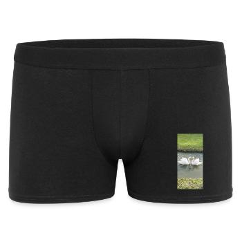 Swans by the water in morning light - Men's Boxer Shorts - black - Front