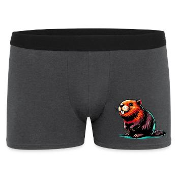 Bieber - Männer Boxer Shorts - Anthrazit - Vorne