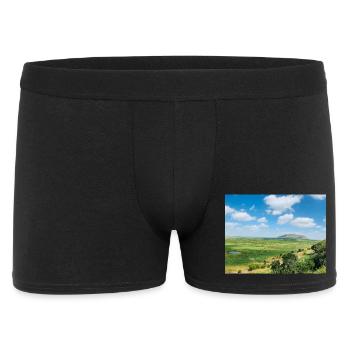 Paysage steppe avec un lac - Boxer Homme - noir - Devant
