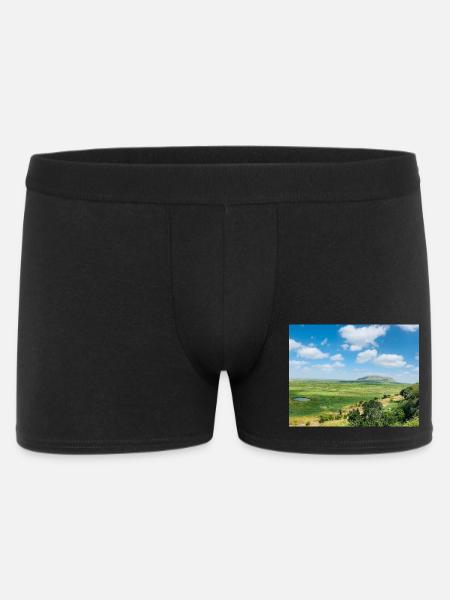 Steppe landscape with a lake - Men's Boxer Shorts - black