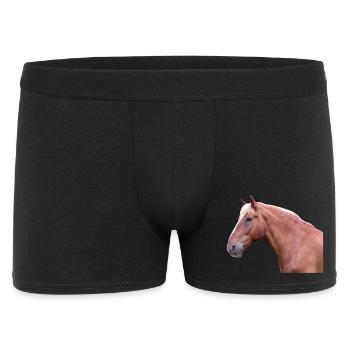 Cheval tête de cheval dressage cheval cheval race - Boxer Homme - noir - Devant