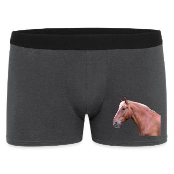 Cheval tête de cheval dressage cheval cheval race - Boxer Homme - charbon - Devant