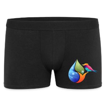Feuille de couleurs géométrique du colibri - Boxer Homme - noir - Devant