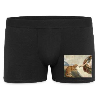 Cat Slaps God's Hand Funny Cats Meme - Men's Boxer Shorts - black - Front
