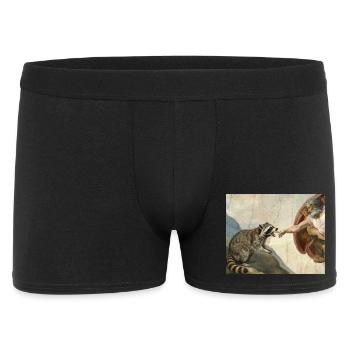 raccoon beating god's hand raccoon meme - Men's Boxer Shorts - black - Front