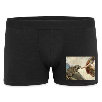 raccoon beating god's hand raccoon meme - Men's Boxer Shorts - black - Front