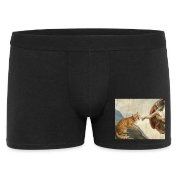Cat Slaps God's Hand Funny Cats Meme - Men's Boxer Shorts - black - Front