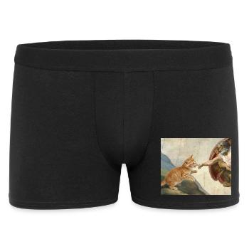 Cat Slaps God's Hand Funny Cats Meme - Men's Boxer Shorts - black - Front