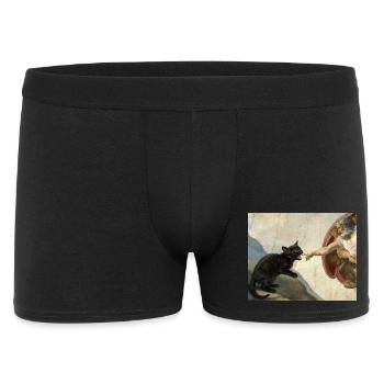 Cat Slaps God's Hand Funny Cats Meme - Men's Boxer Shorts - black - Front