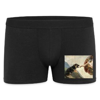 Mème du chien berger de la main du chien Dieu - Boxer Homme - noir - Devant