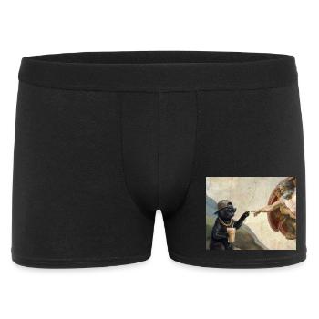 Cat Slaps God's Hand Funny Cats Meme - Men's Boxer Shorts - black - Front
