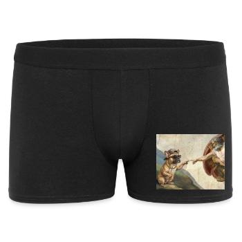 Cat Slaps God's Hand Funny Cats Meme - Men's Boxer Shorts - black - Front