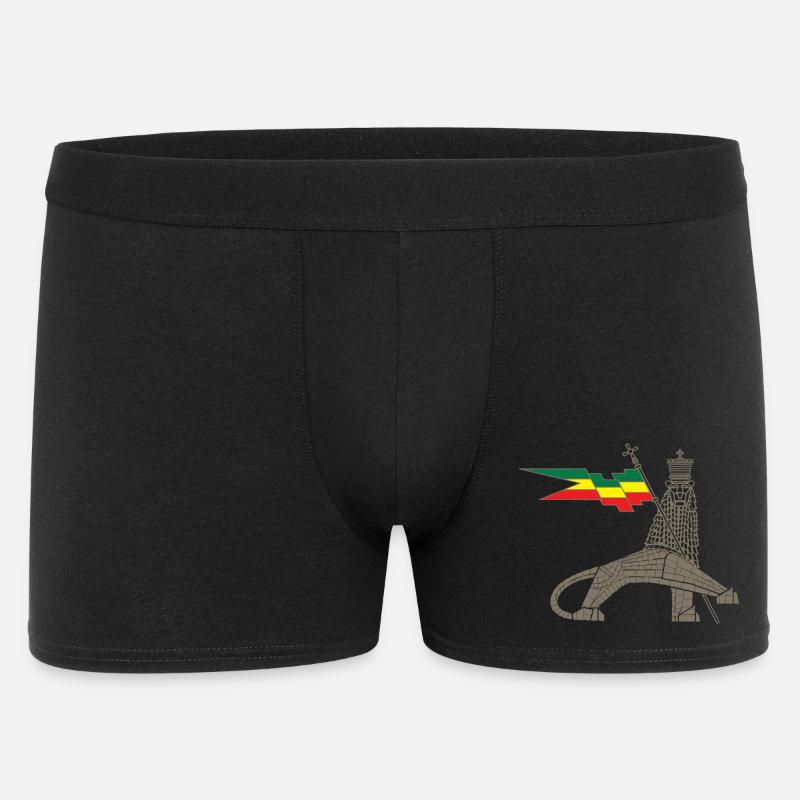 Königslöwe mit äth Flaggenbalken - Männer Boxer Shorts - Schwarz