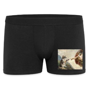 Cat Slaps God's Hand Funny Cats Meme - Men's Boxer Shorts - black - Front