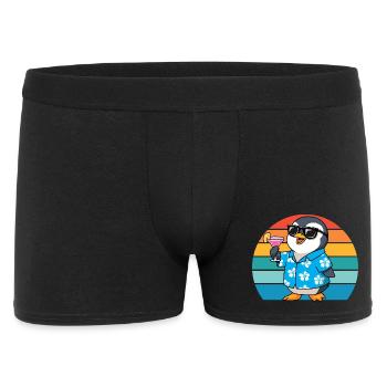 Lunettes de soleil Retro Penguins Cool Penguin - Boxer Homme - noir - Devant