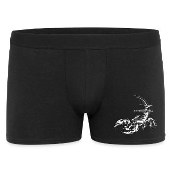 Scorpio Illustration Icon Graphic Animals Sketch - Men's Boxer Shorts - black - Front