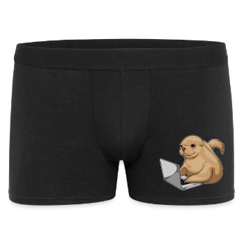 Seal Laptop - Men's Boxer Shorts - black - Front