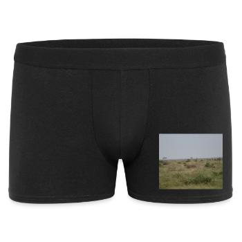 Lion in the savannah at dusk - Men's Boxer Shorts - black - Front