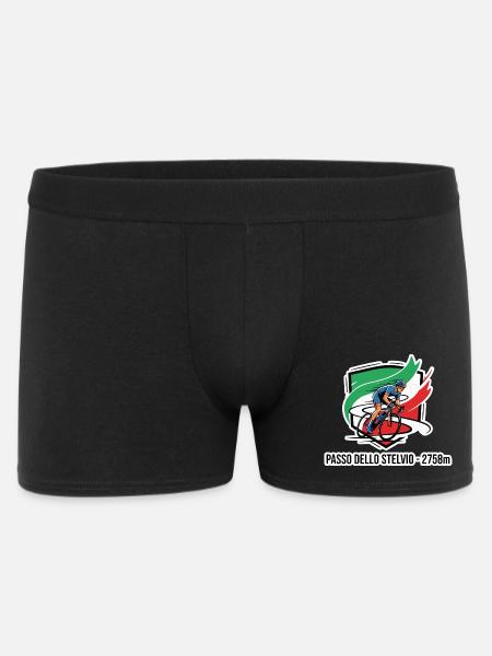 Passo Dello Stelvio Rider Badge 2758m - Men's Boxer Shorts - black