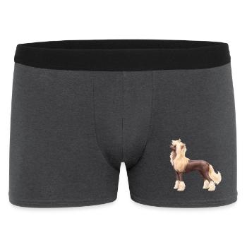 Crête chinoise sans poils réaliste - Boxer Homme - charbon - Devant