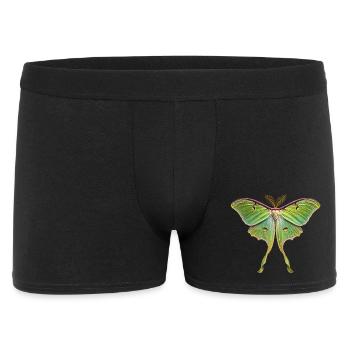 Luna Moth Actias luna - Men's Boxer Shorts - black - Front