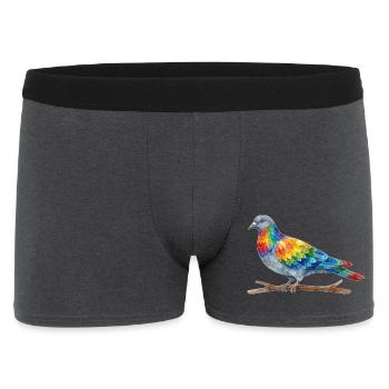 Regenbogenvogel - Männer Boxer Shorts - Anthrazit - Vorne