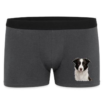 Border Collie Porträt: Treuer Blick - Männer Boxer Shorts - Anthrazit - Vorne