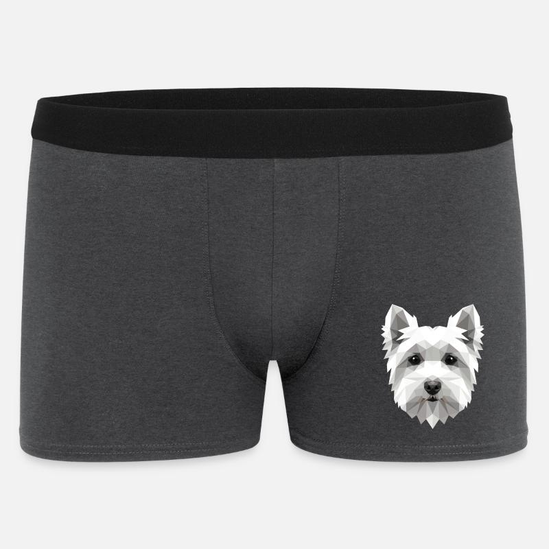 Piccolo cane maltese maltese amore dolce maltese - Boxer da uomo - antracite