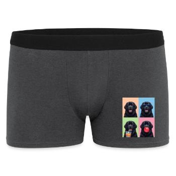 Hunde Neufundländer Hund - Männer Boxer Shorts - Anthrazit - Vorne