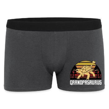 Grandparsaurus Sunset Dino Print - Men's Boxer Shorts - charcoal grey - Front