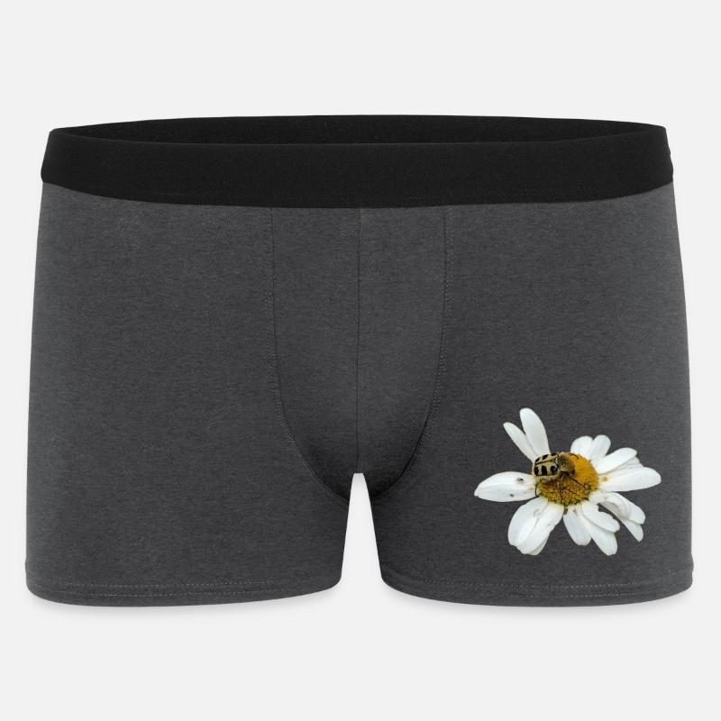 Pinselkäfer - Männer Boxer Shorts - Anthrazit