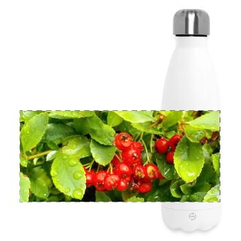 Mittelmeer Feuerdorn / Pyracantha coccinea - Panorama Isolierflasche 500 ml - Weiß - Vorne