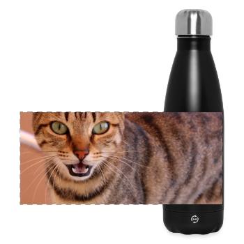Katze Kätzchen Poster quadratisch Katzenposter - Panorama Isolierflasche 500 ml - Schwarz - Vorne