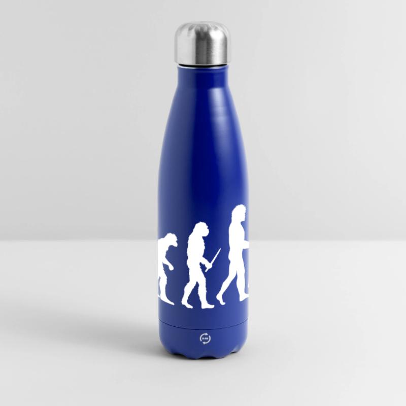 Évolution de la boxe Gourde isotherme panoramique 500 ml