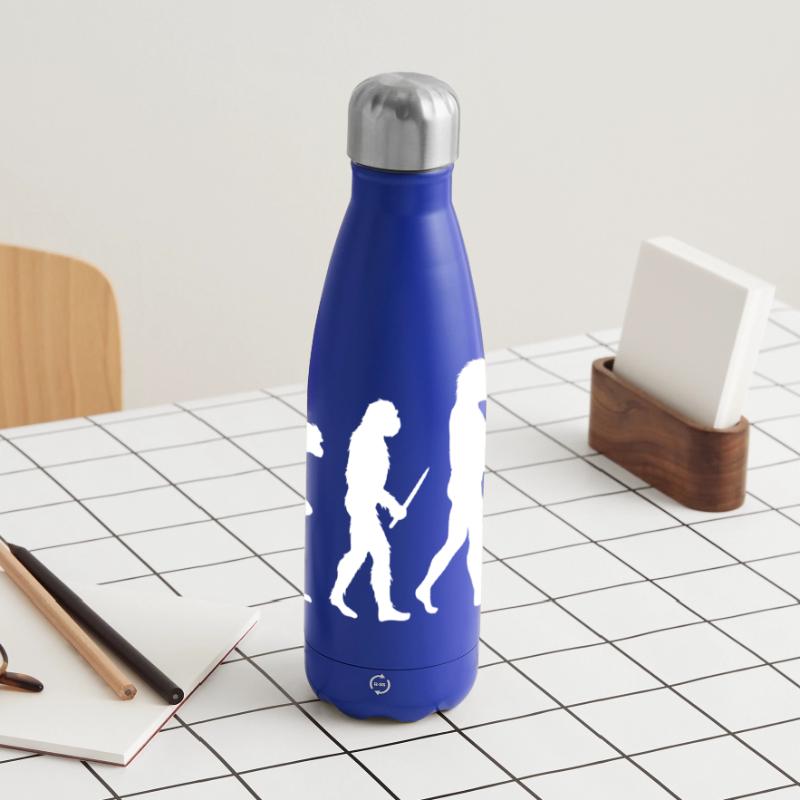 Évolution de la boxe Gourde isotherme panoramique 500 ml
