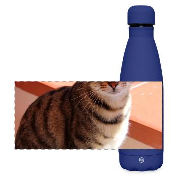 Katze Kätzchen - Matte Panorama Isolierflasche 500 ml - Dunkelblau  - Vorne