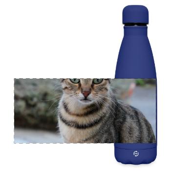 Katze Kätzchen Poster quadratisch Katzenposter - Matte Panorama Isolierflasche 500 ml - Dunkelblau  - Vorne