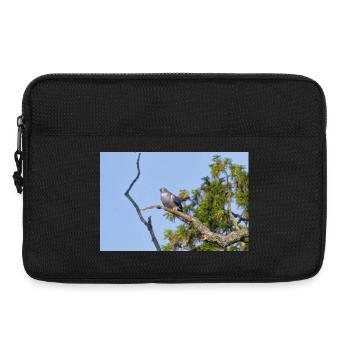 000_1522_NikDxO_cuckoo - Sacoche pour ordinateur portable 13 pouces - noir - Devant